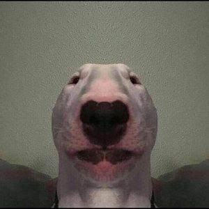 Meet your Posher, Trace